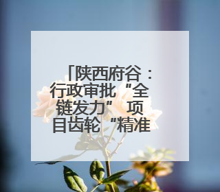 陕西府谷：行政审批“全链发力” 项目齿轮“精准咬合”