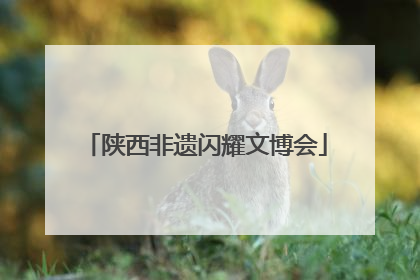 陕西非遗闪耀文博会