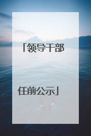 领导干部任前公示