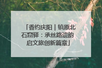 香约庆阳｜镇原北石窟驿：承丝路遗韵 启文旅创新篇章