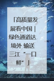 高质量发展看中国｜绿色通道达境外 输送三江“一口鲜”
