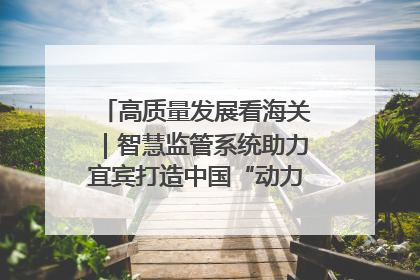 高质量发展看海关｜智慧监管系统助力宜宾打造中国“动力电池之都”