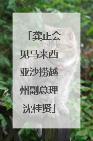 龚正会见马来西亚沙捞越州副总理沈桂贤