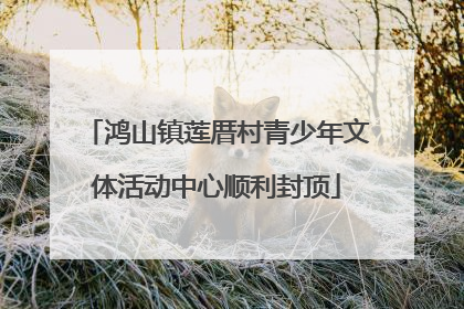 鸿山镇莲厝村青少年文体活动中心顺利封顶