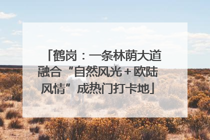 鹤岗：一条林荫大道融合“自然风光＋欧陆风情”成热门打卡地