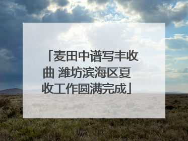 麦田中谱写丰收曲 潍坊滨海区夏收工作圆满完成