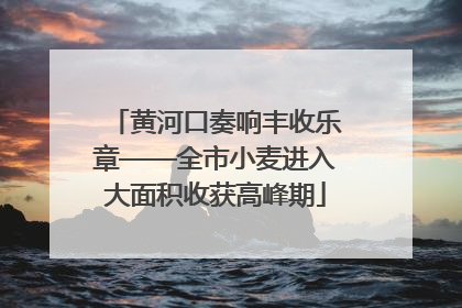 黄河口奏响丰收乐章——全市小麦进入大面积收获高峰期