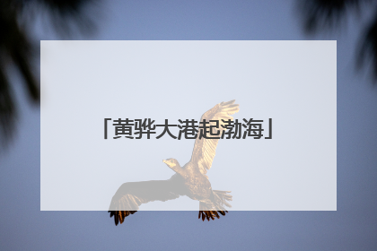 黄骅大港起渤海