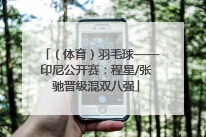 （体育）羽毛球——印尼公开赛：程星/张驰晋级混双八强