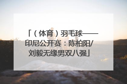 （体育）羽毛球——印尼公开赛：陈柏阳/刘毅无缘男双八强