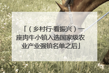 （乡村行·看振兴）一座肉牛小镇入选国家级农业产业强镇名单之后