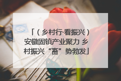 （乡村行·看振兴）安徽固镇产业聚力 乡村振兴“畜”势勃发