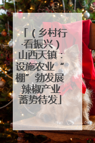 （乡村行·看振兴）山西天镇：设施农业“棚”勃发展 辣椒产业蓄势待发