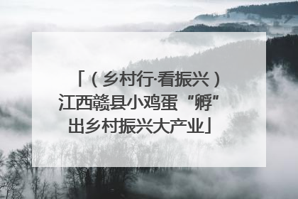 （乡村行·看振兴）江西赣县小鸡蛋“孵”出乡村振兴大产业