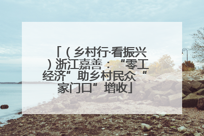 （乡村行·看振兴）浙江嘉善：“零工经济”助乡村民众“家门口”增收