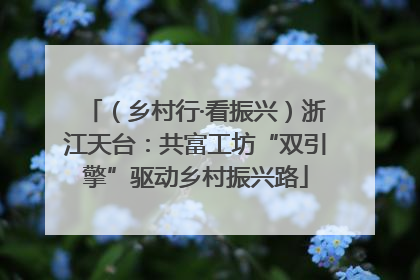 （乡村行·看振兴）浙江天台：共富工坊“双引擎”驱动乡村振兴路