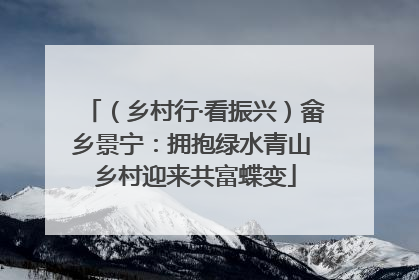 （乡村行·看振兴）畲乡景宁：拥抱绿水青山 乡村迎来共富蝶变