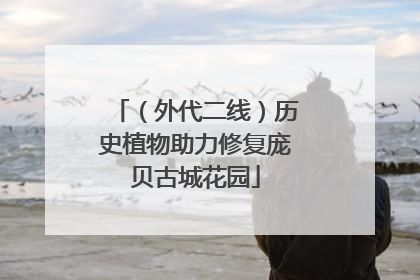 （外代二线）历史植物助力修复庞贝古城花园