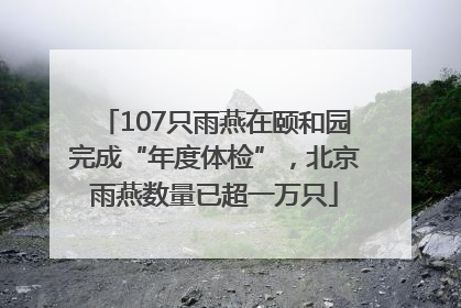 107只雨燕在颐和园完成“年度体检”，北京雨燕数量已超一万只