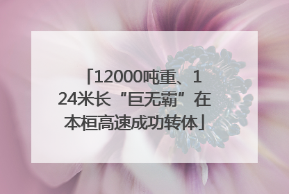 12000吨重、124米长“巨无霸”在本桓高速成功转体