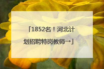 1852名！河北计划招聘特岗教师→