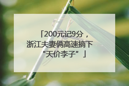 200元记9分，浙江夫妻俩高速摘下“天价李子”