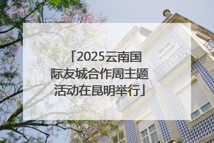 2025云南国际友城合作周主题活动在昆明举行