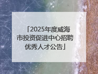 2025年度威海市投资促进中心招聘优秀人才公告