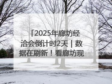 2025年廊坊经洽会倒计时2天｜数据在刷新！看廊坊现代商贸物流产业实现跨越式发展