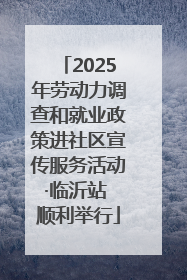 2025年劳动力调查和就业政策进社区宣传服务活动·临沂站 顺利举行