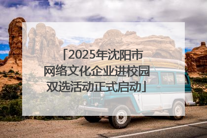 2025年沈阳市网络文化企业进校园双选活动正式启动