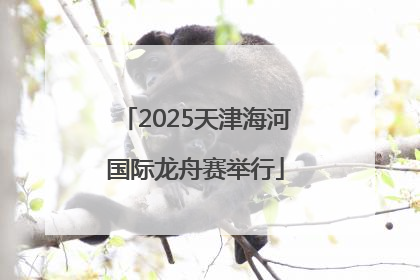 2025天津海河国际龙舟赛举行