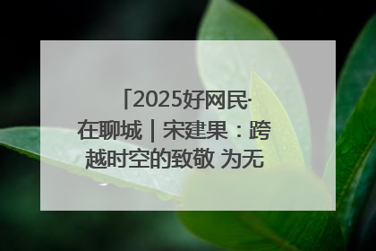 2025好网民·在聊城｜宋建果：跨越时空的致敬 为无名烈士“正名”
