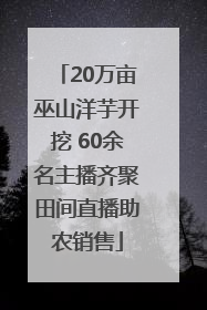 20万亩巫山洋芋开挖 60余名主播齐聚田间直播助农销售