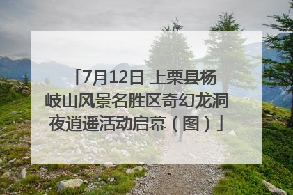 7月12日 上栗县杨岐山风景名胜区奇幻龙洞夜逍遥活动启幕（图）