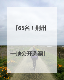 65名！荆州一地公开选调