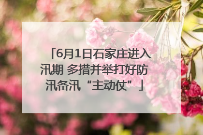 6月1日石家庄进入汛期 多措并举打好防汛备汛“主动仗”