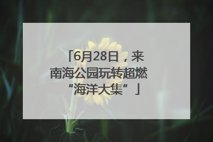 6月28日，来南海公园玩转超燃 “海洋大集”