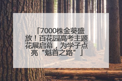 7000株金葵盛放！百花园高考主题花展启幕，为学子点亮“魁首之路”
