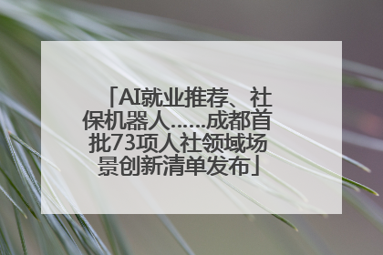 AI就业推荐、社保机器人……成都首批73项人社领域场景创新清单发布