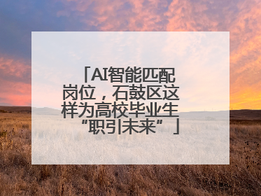 AI智能匹配岗位，石鼓区这样为高校毕业生“职引未来”