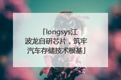 longsys江波龙自研芯片，筑牢汽车存储技术根基